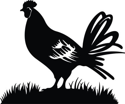 bamboo chicken