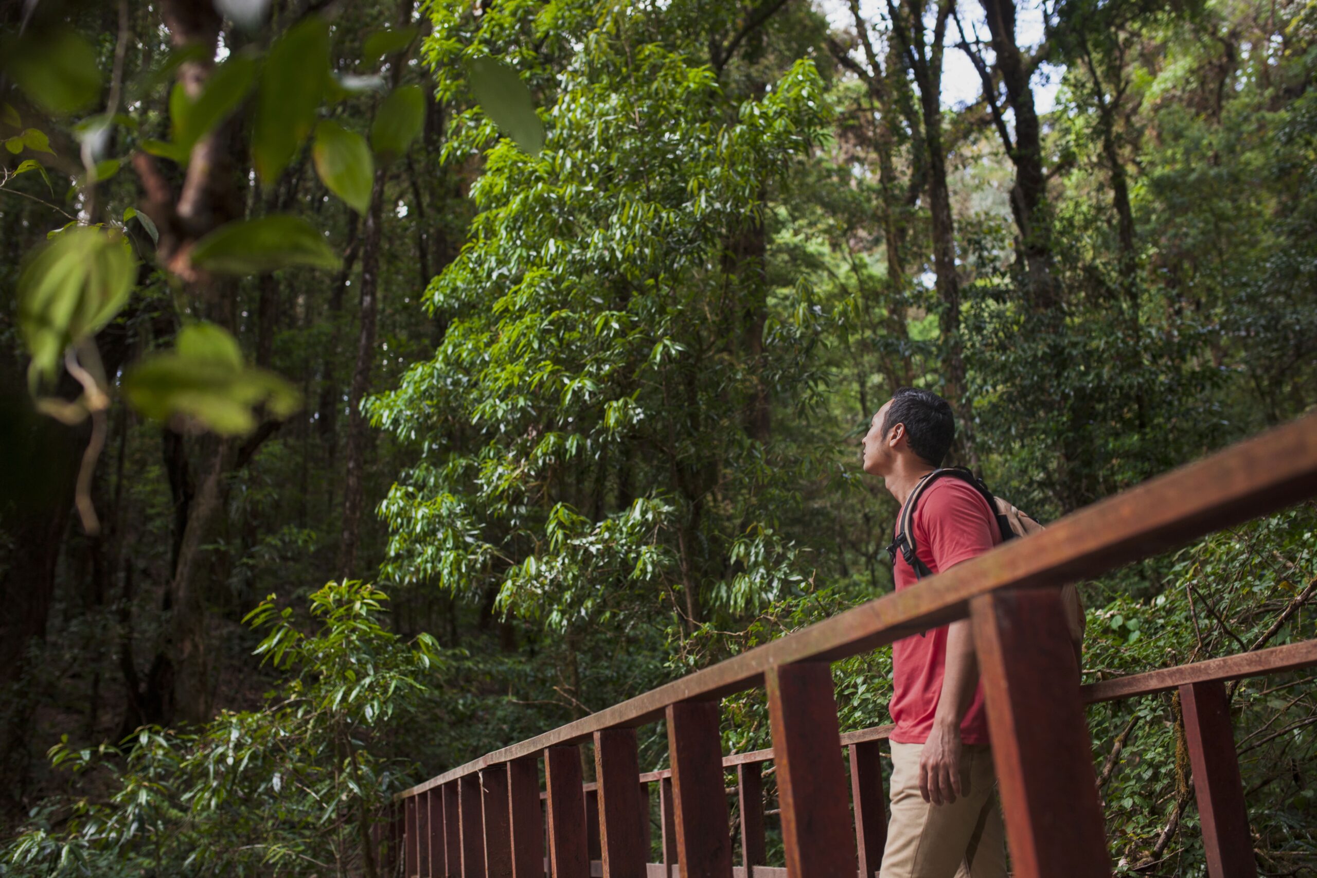 Jungle Resorts in Purulia